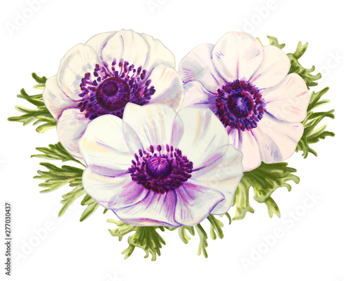 Three beautiful white anemonies. Bouquet. Floral print. Marker drawing. Watercolor painting. Wedding and birthday composition. Greeting card. Flower painted background Hand drawn illustration.