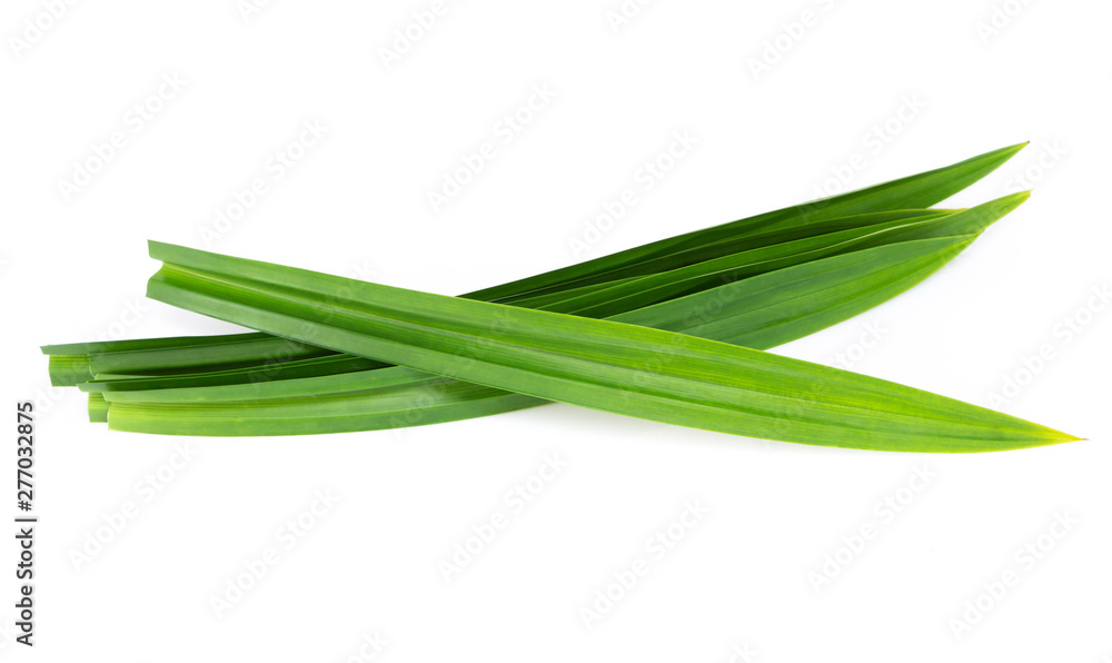 Fresh green pandan leaves isolated on white background Fresh green pandan leaves isolated on white background