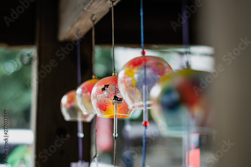 It is a hydrangea flower after the rain.