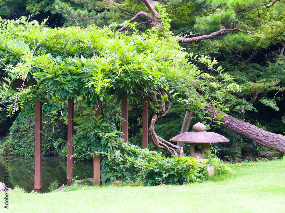 garden in garden