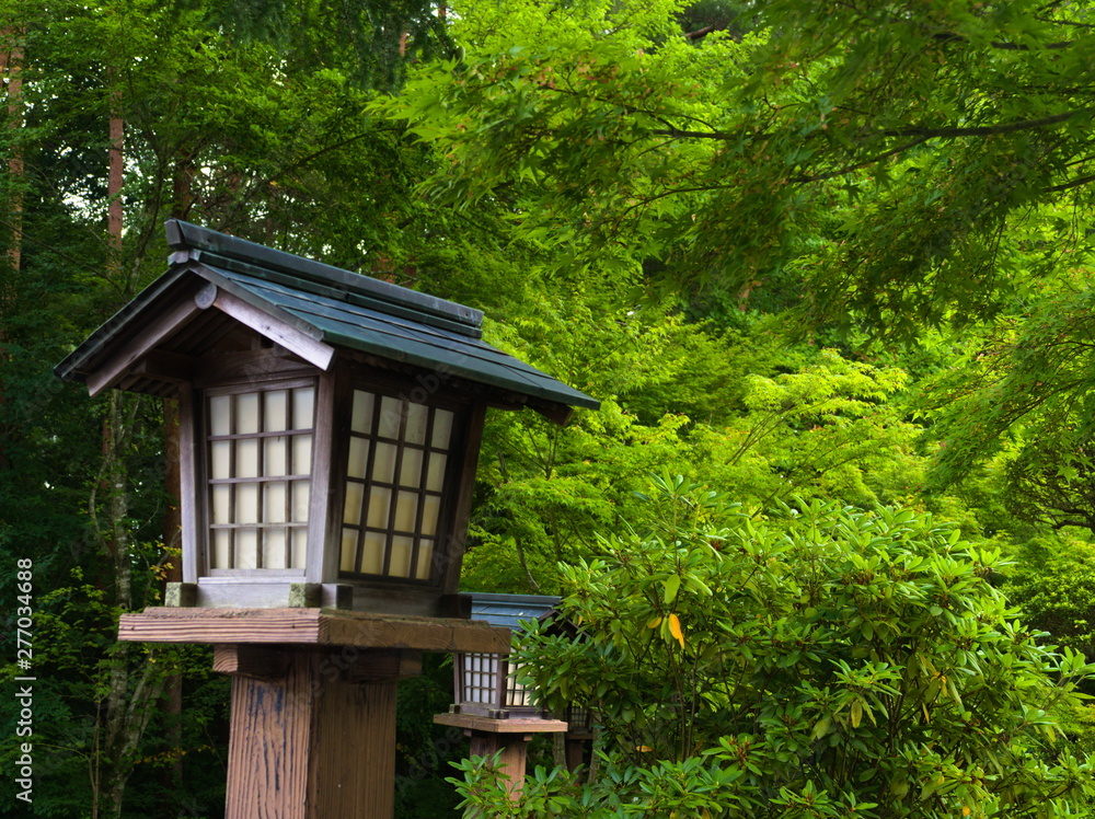 house in the forest