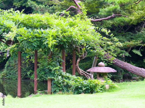 Obraz na płótnie garden in garden w salonie
