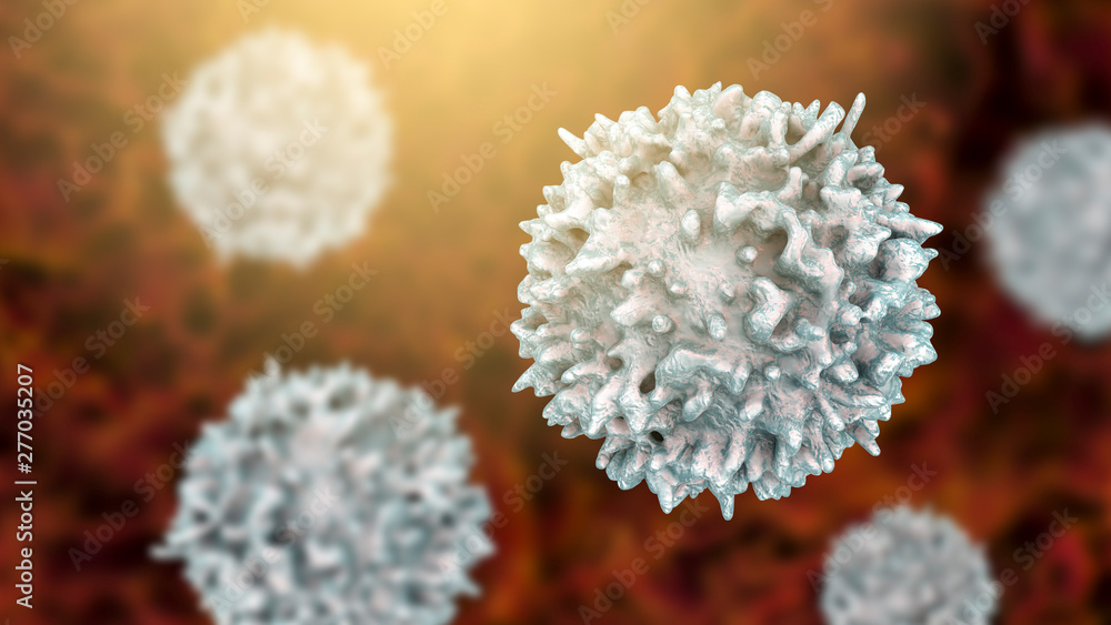 Lymphocyte, 3D illustration. Closeup view of T-cell or B-cell - obrazy, fototapety, plakaty 