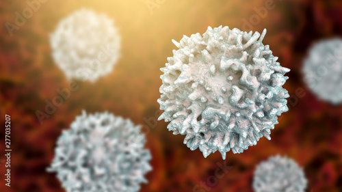 Lymphocyte, 3D illustration. Closeup view of T-cell or B-cell