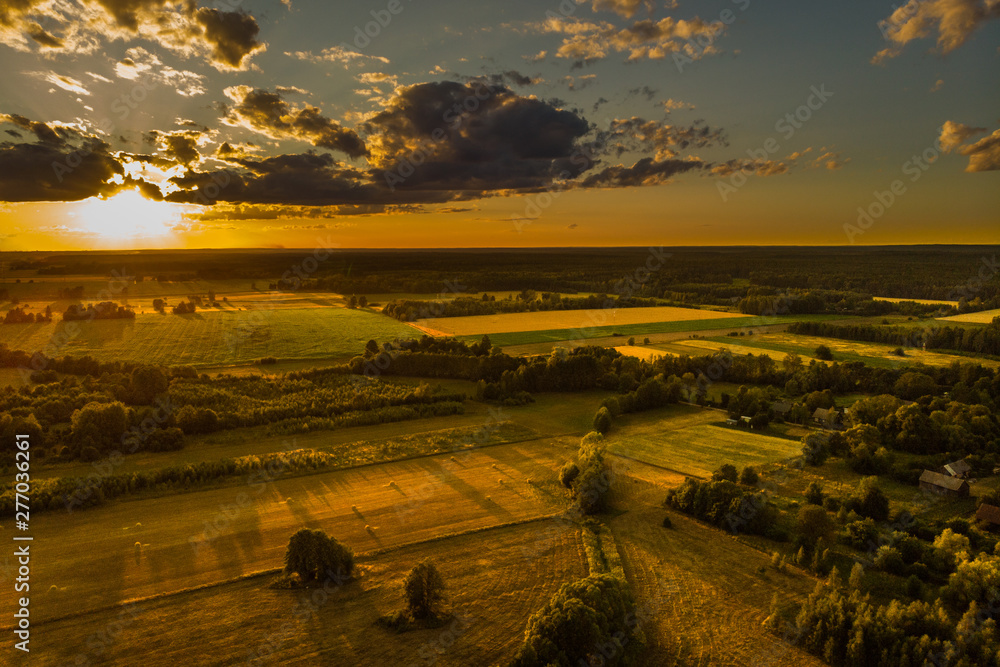 Fototapeta premium Aerial landscape - summer fields and forests