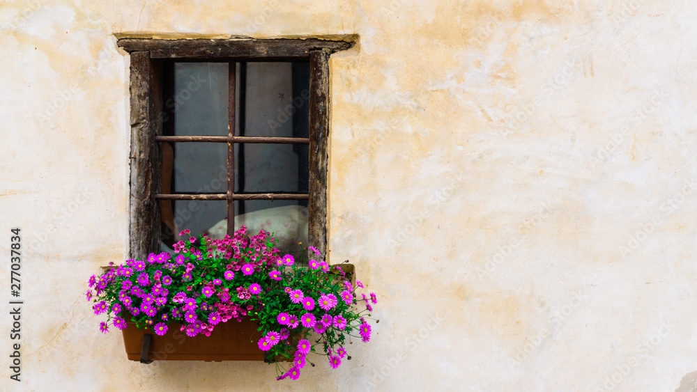 old window with red flowers