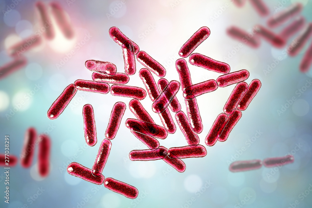 Probiotic bacteria Bacillus clausii, 3D illustration. B. clausii is a