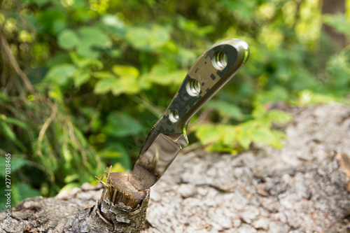 Not a folding knife stuck in a tree. Summer is green.