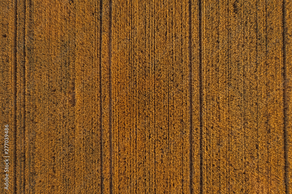 Aerial photography of farmlands, agricultural fields. Aerial photography of farmlands, agricultural fields.