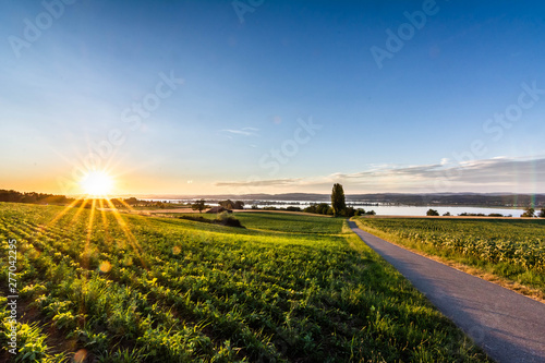 Photos Sunset above the Lake Constance in Switzerland