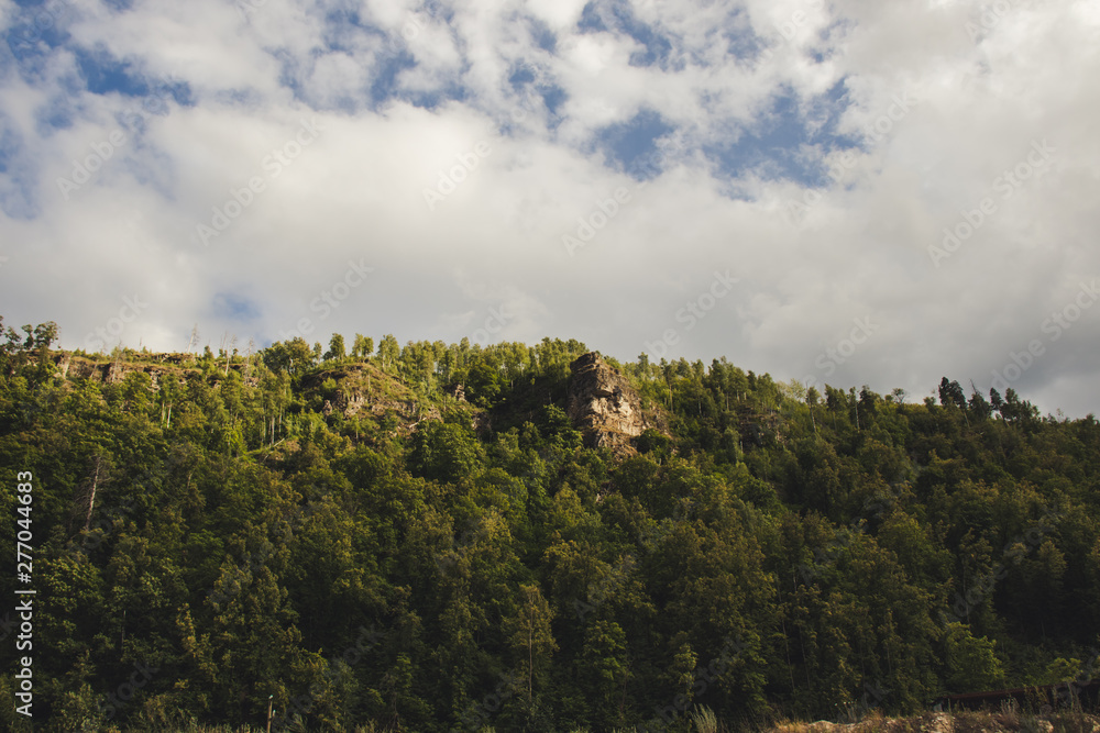 Obraz premium landscape with trees and clouds