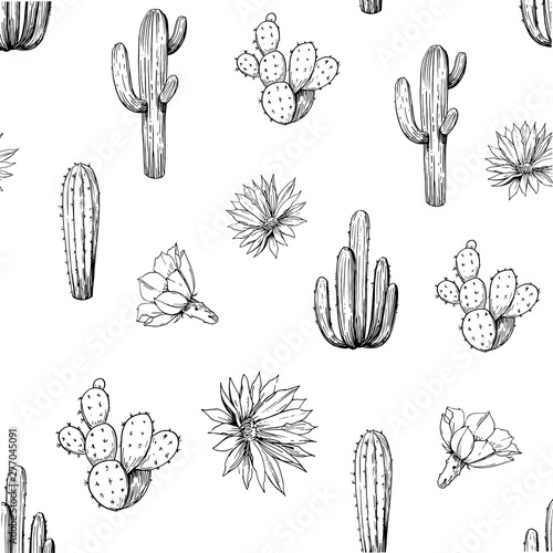 Seamless pattern with cacti and flowers. Hand drawn sketches converted to vector
