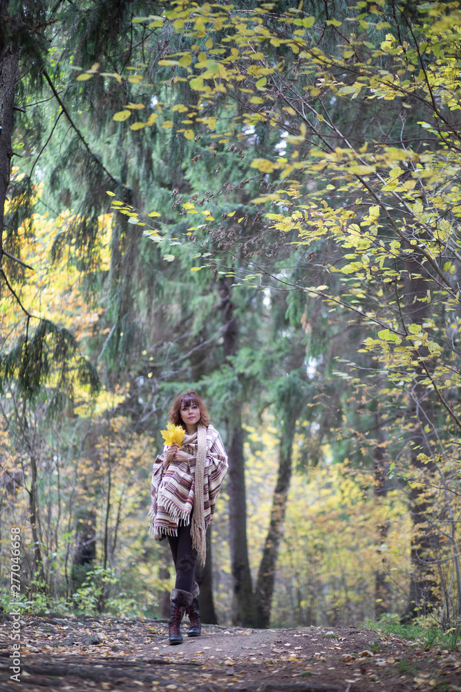 A pregnant woman with a warm blanket and yellow maple leaves walks in the Park, around the beautiful Golden autumn, all brown yellow and gold.