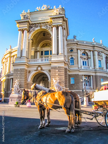 Horses in front of the Odessa Opera Theater. In Odessa, Ukraine