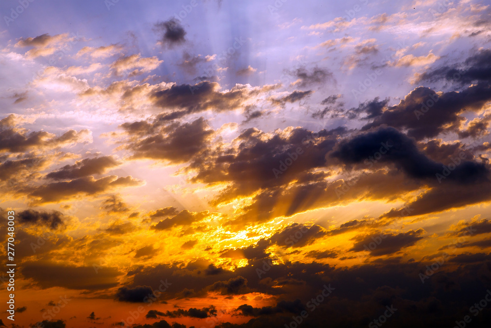 Fototapeta premium Sunset and birds