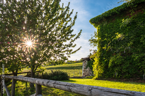 Abandoned farm in the countryside of Italy