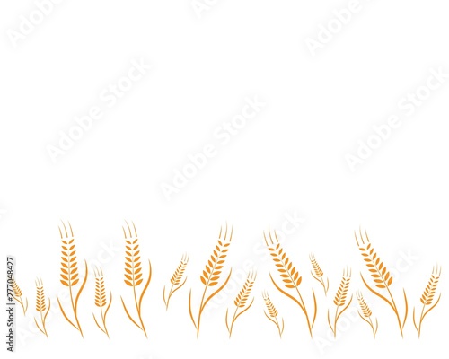 Agriculture wheat Logo Template vector icon design 