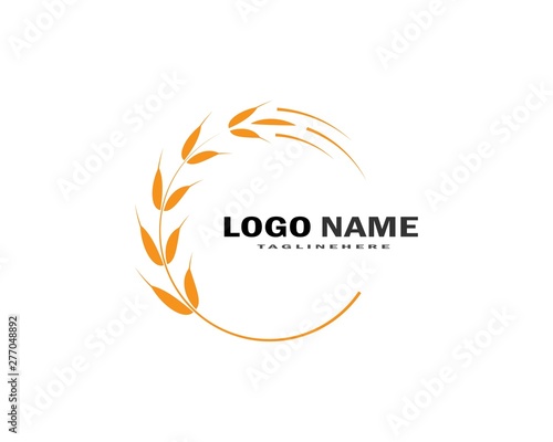 Agriculture wheat Logo Template vector icon design 
