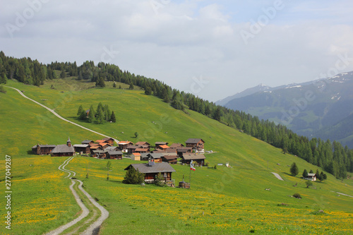 Old village Obermutten and green meadow with yellow flowers, Switzerland.