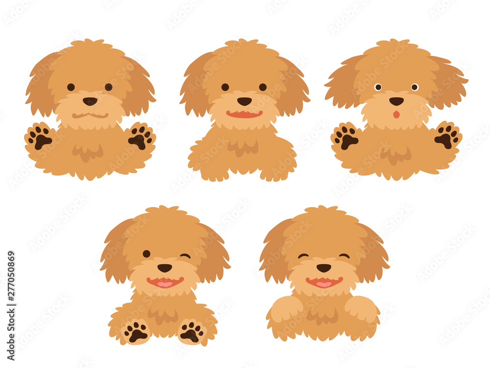 色々な表情のトイプードルのイラストセット Stock Vector Adobe Stock