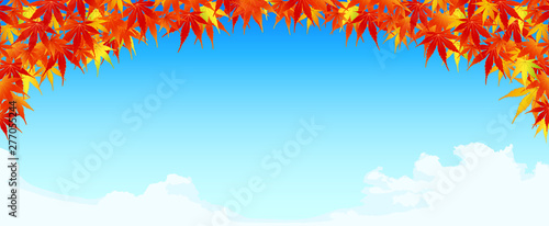 もみじ　青空