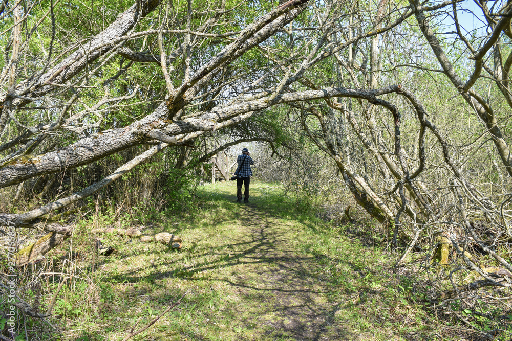 Male photographer on a footpath in a nature reserve Male photographer on a footpath in a nature reserve