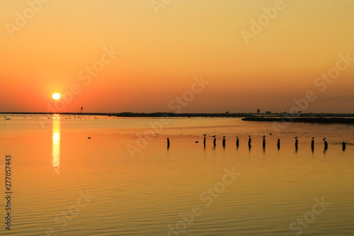 sunset on the lake