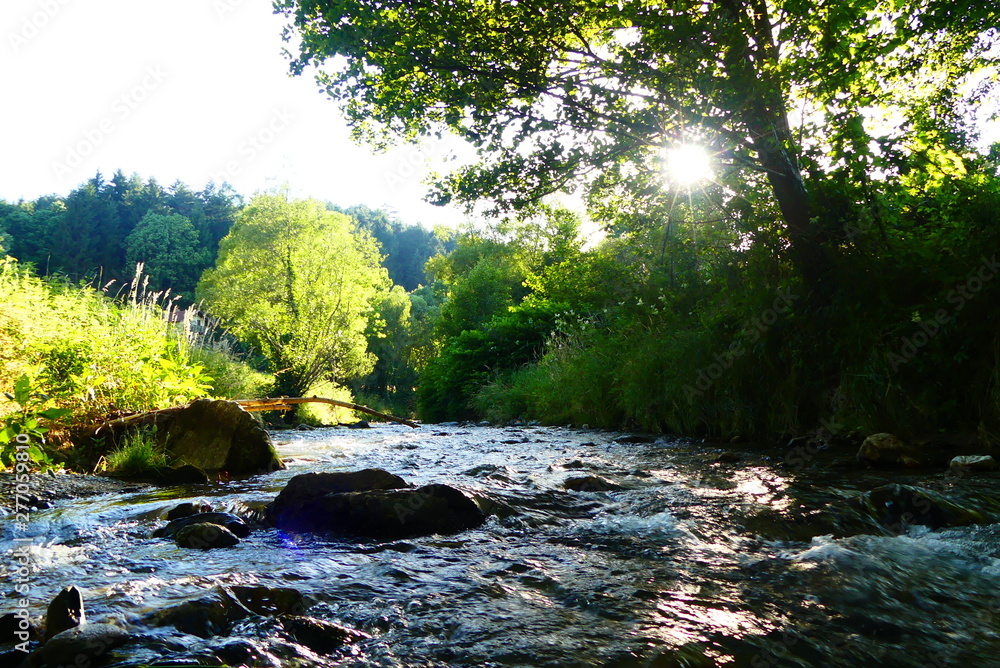 Obraz premium Wildbach