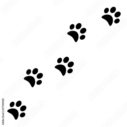 Animal footprints vector icon