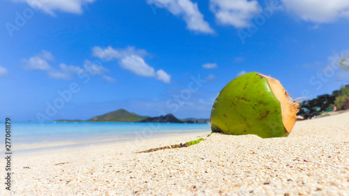 Noix de coco sur une plage à Antigua, plage de la vallée de l'église.