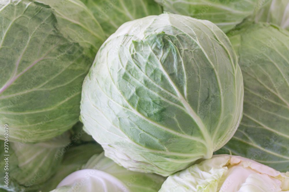 Fototapeta premium Green cabbage or headed cabbage at vegetable market.Organic vegetable at freshness atmosphere farm.vegetarian food cooking.Healthy food high fiber.