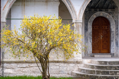 old house in autumn. Yellow tree