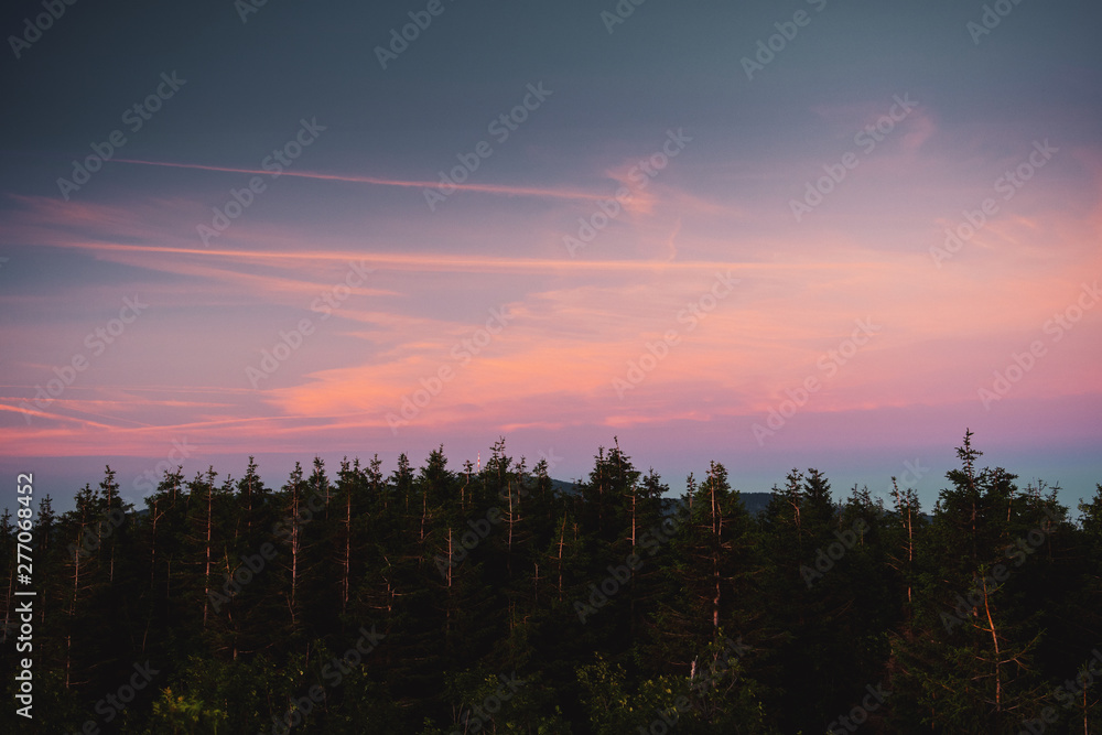 Colorful purple sky over the mountain top with pine forest. Torfhaus, National Park Harz in Germany Colorful purple sky over the mountain top with pine forest. Torfhaus, National Park Harz in Germany