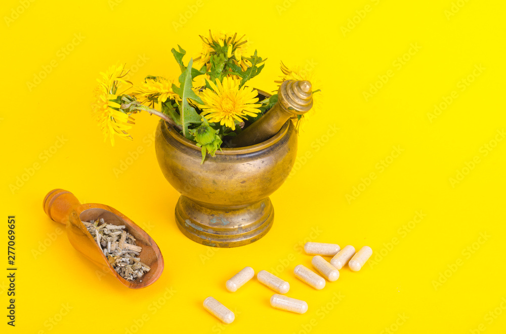 Herbals in mortar and modern medicines, herbal medicine in capsules. 