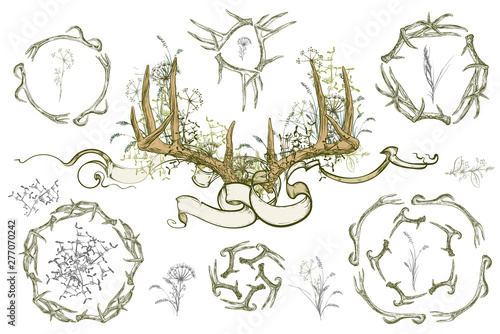 Vector illustration. Hand drawing on a graphic tablet.  Set of frames from deer horns. Antlers and herbs entwined ribbon.