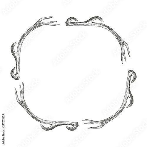 Vector illustration. Hand drawing on a graphic tablet. Frame made of deer antlers.