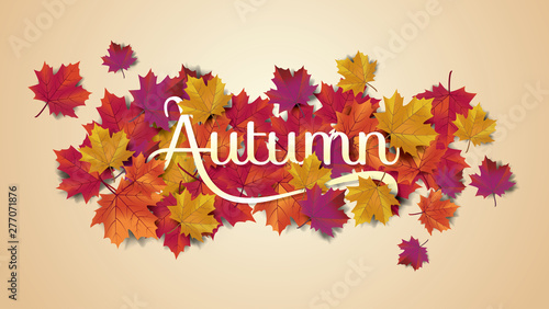 Autumn background layout typography decorate with leaves for greeting promo poster or web banner.Vector illustration template.