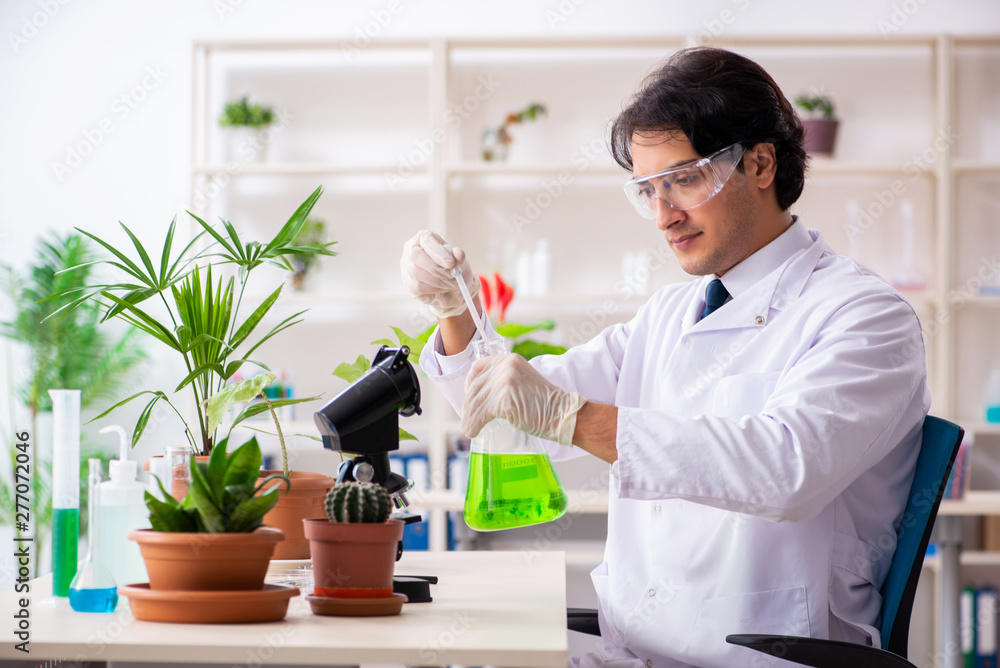 Fototapeta premium Biotechnology chemist working in lab