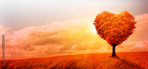 Baum in Herform in einer surrealen Landschaft bei sonnenuntergagn