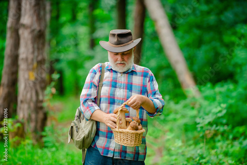Mature man with mushrooms in basket over forest background. Old man walking. Grandpa Pensioner. Senior hiking in forest.