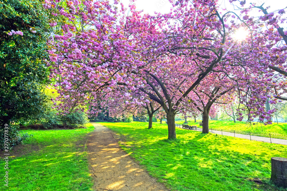 Spring in Hyde Park located in Central London, UK.
