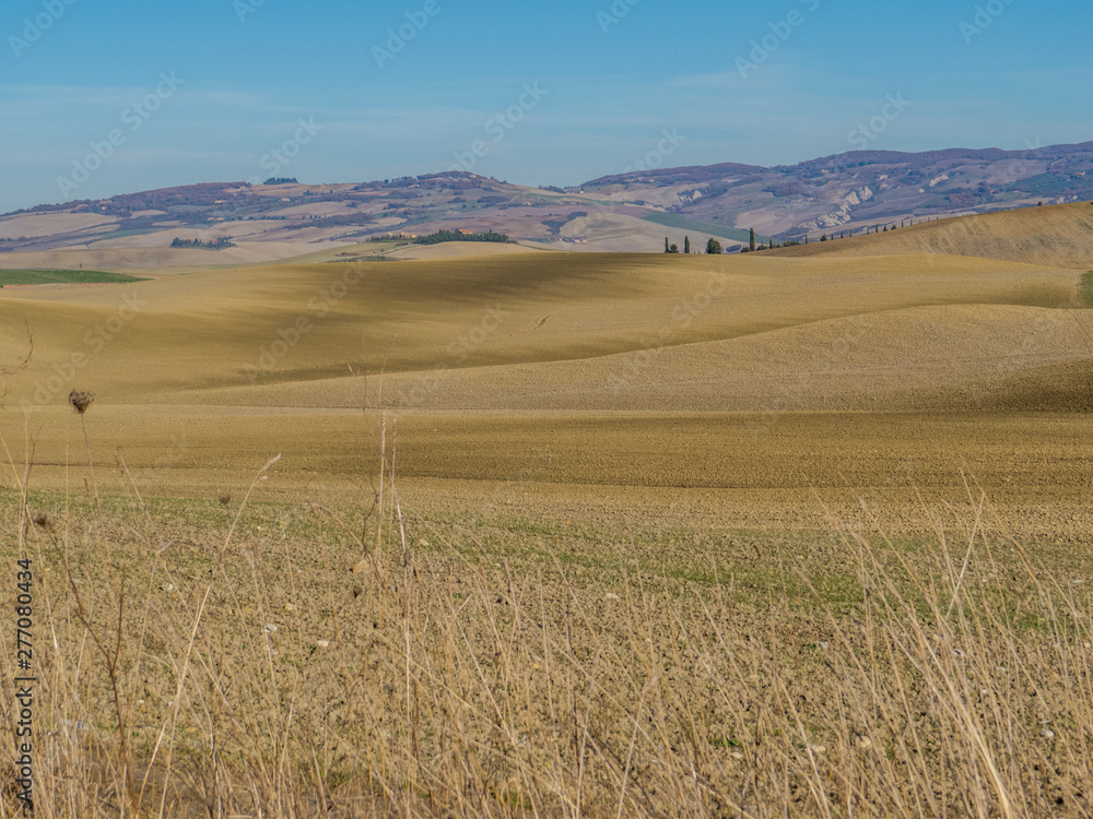 Amazing landscape in Val d'Orcia, Tuscany, Italy