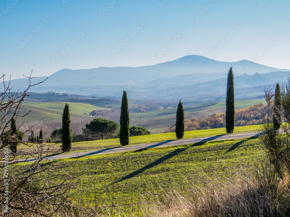 Amazing landscape in Vitaleta, Val d'Orcia, Tuscany, Italy