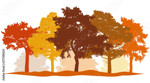 Autumn trees (park, forest) silhouette. Beautiful autumn colors of trees: red, orange, brown. Vector illustration