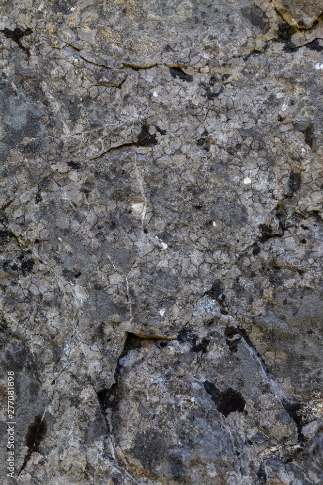 Grayish Old Weathered Natural Stone Texture