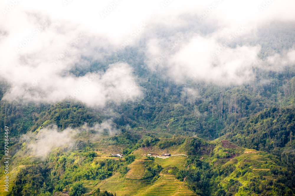 Terraced Fields in the Clouds. This is amazing screen in North Western, Vietnam Terraced Fields in the Clouds. This is amazing screen in North Western, Vietnam