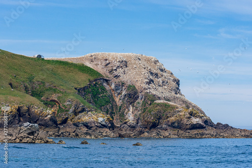 L'île Rouzic photo