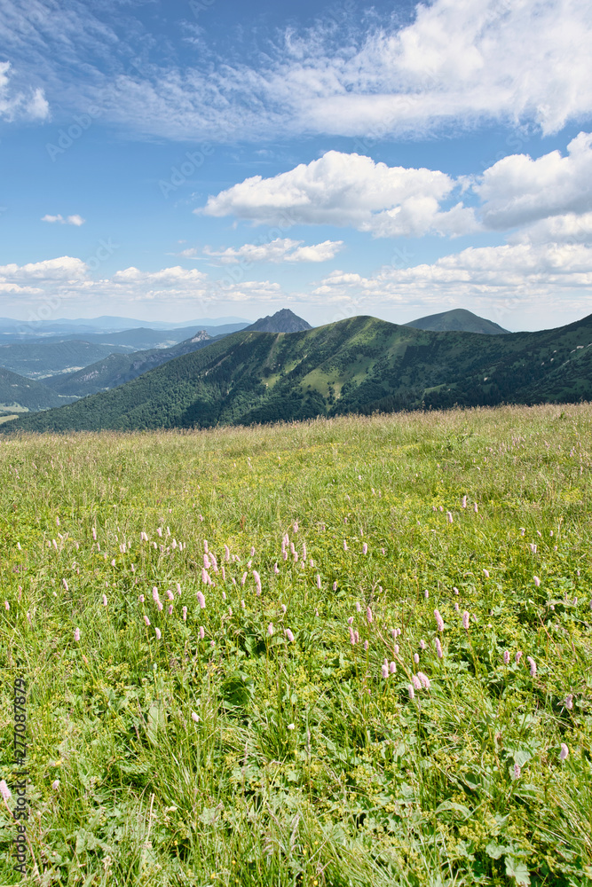 Fototapeta premium Summer Mountain Meadow with Scenic Ridges in Mala Fatra National Park, Slovakia