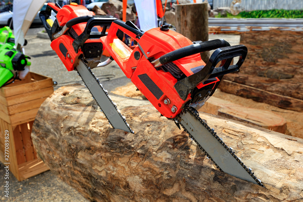 Red chainsaws are driven into the log. The concept of harvesting wood.