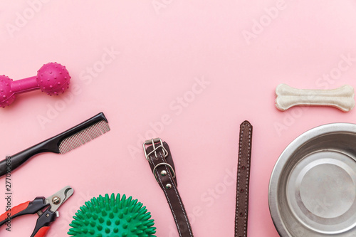 Pet care and animals concept. Toys and accessories for dog playing and training isolated on pink pastel trendy background. Flat lay with ball bone clicker claw cutter dish collar. Top view copy space photo